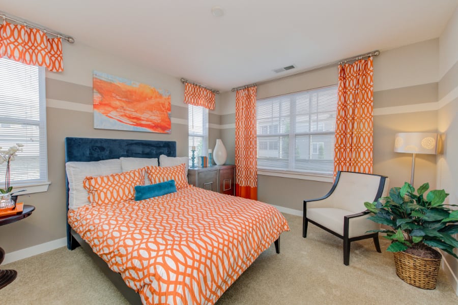 Brighten up a dark corner of your bedroom with natural foliage in 116 Apartments. A bedroom with a plant in the corner in 116 apartments.