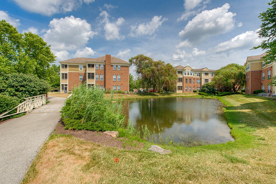 Communities like North Haven Apartments seen here are perfect for dogs with ample green space and walking areas. Outdoor grounds of apartment community in Carmel